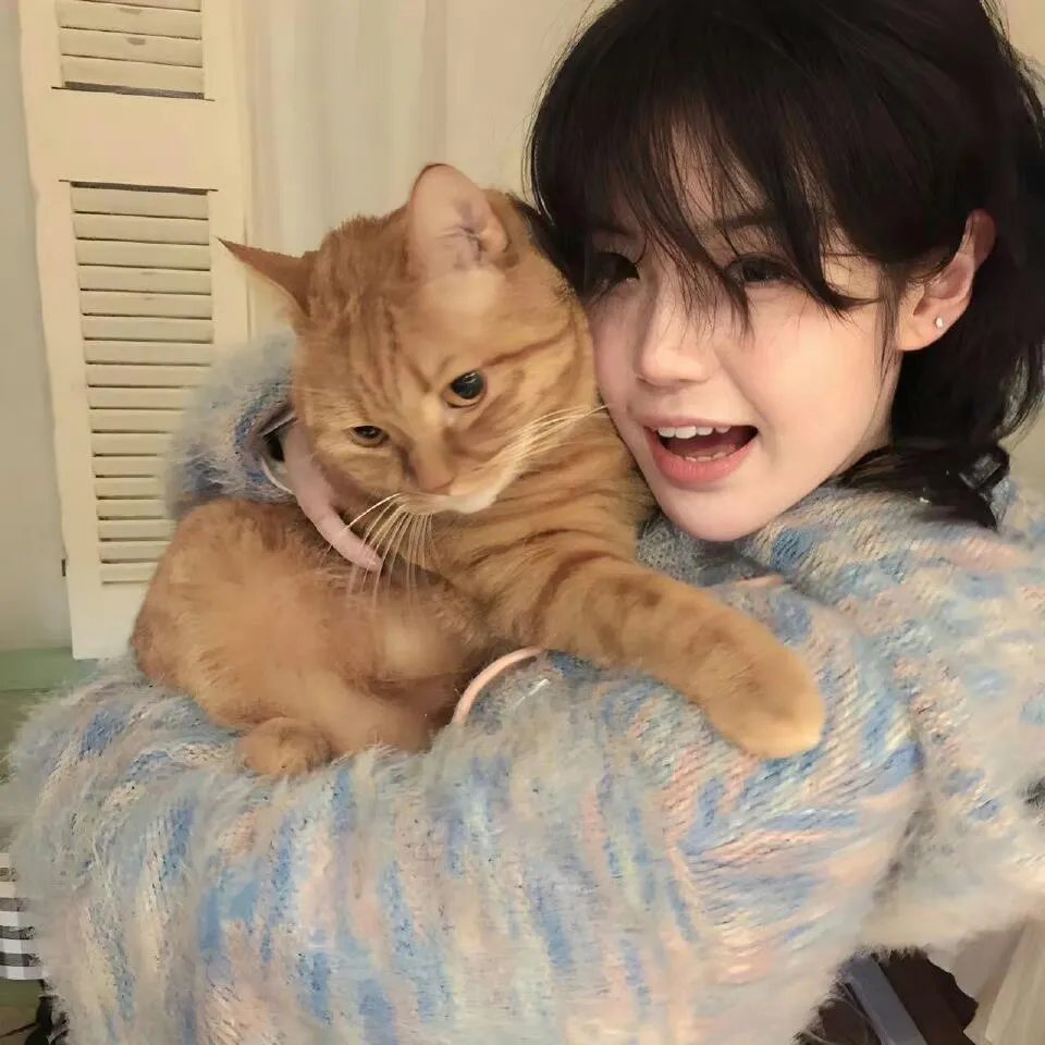 猎鹰的兄弟
